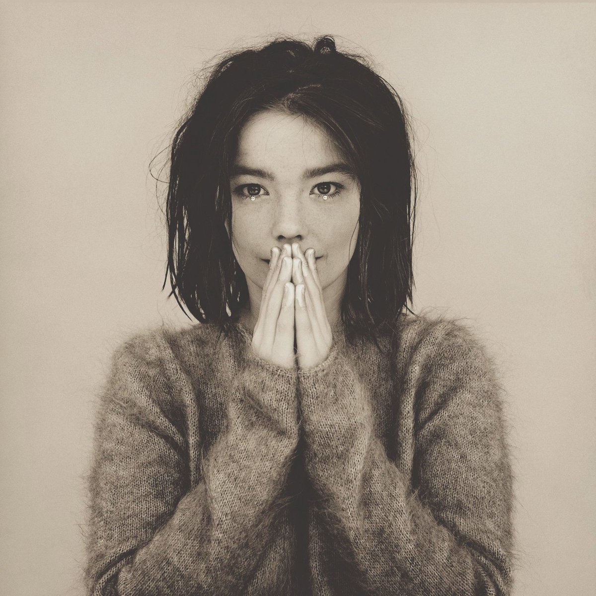 Em 1993, Björk lançou seu primeiro álbum, o 