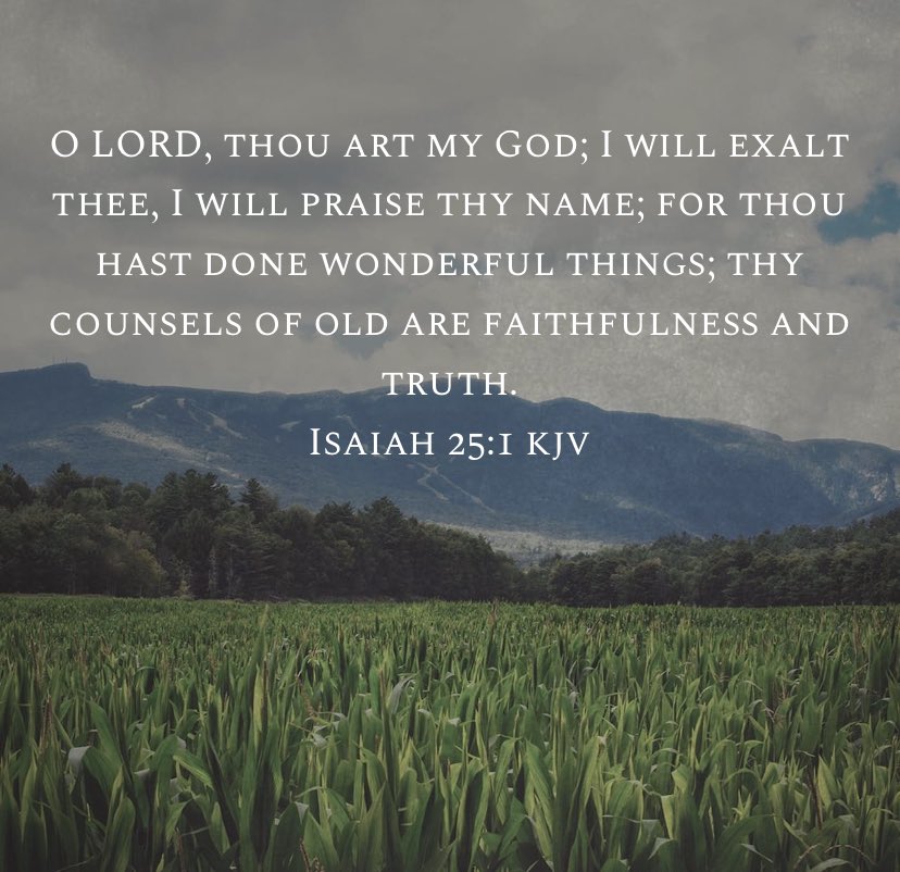 “O LORD, thou art my God; I will exalt thee, I will praise thy name; for thou hast done wonderful things; thy counsels of old are faithfulness and truth.”
Isaiah 25:1 KJV #TheWord #VerseOfTheDay #GTAMinistries