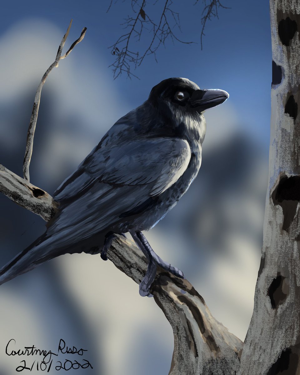 SingleSight's tweet photo. New Painting. A few peopleon #deviantart said they thought this was a photo but I don’t know definitely a compliment though! #birdart #ravenbird #digitalart https://t.co/pYJRnlRThc