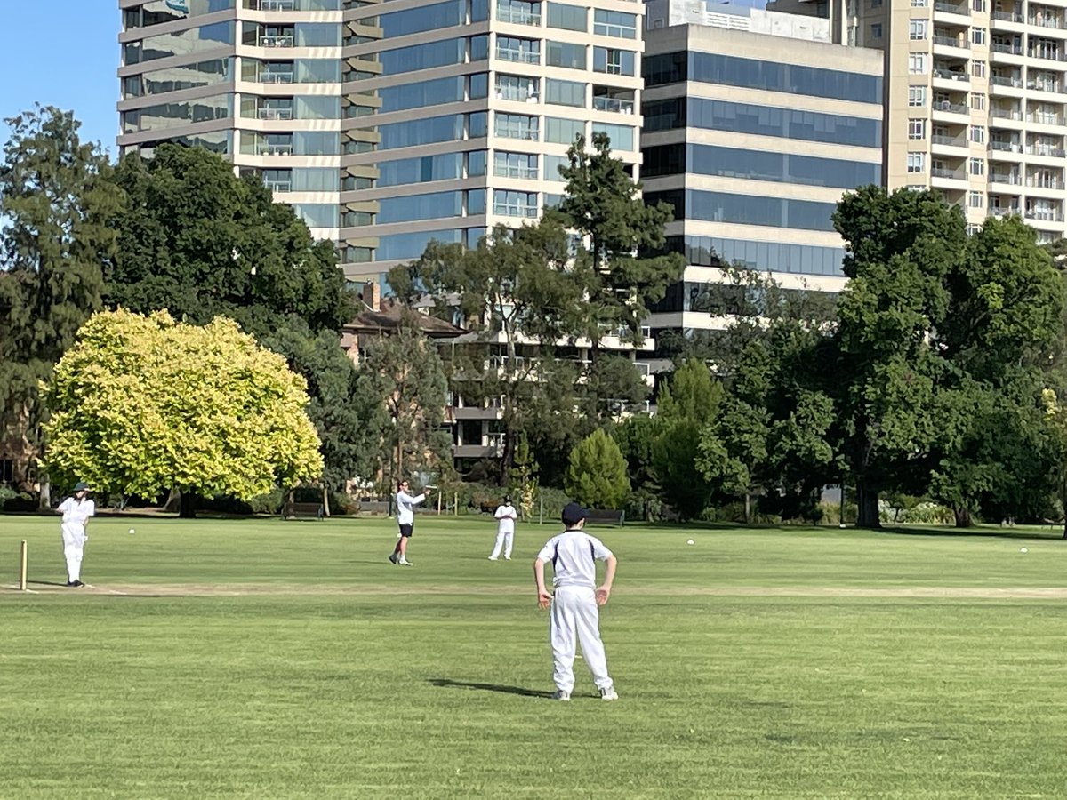 anthonymazzz's tweet photo. @BlueBaggy MGS 7As 7-82 after 25 overs at Fawkner Park. BGS commence the chase. Perfect conditions here. @tomsmcpheeclub @BGSCricket @APS_Sport https://t.co/QirSXSfgdU