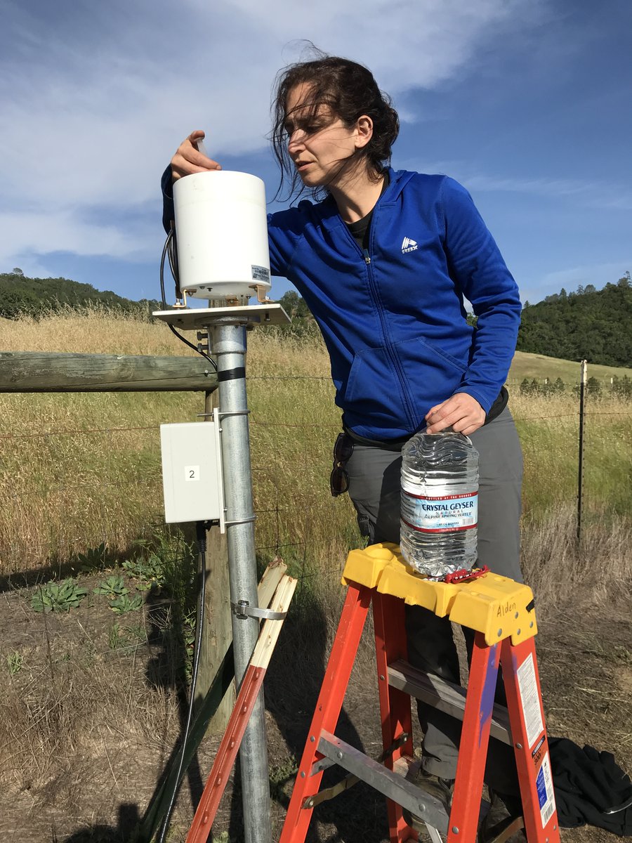 A women scientist checks on a research instrument in the field.