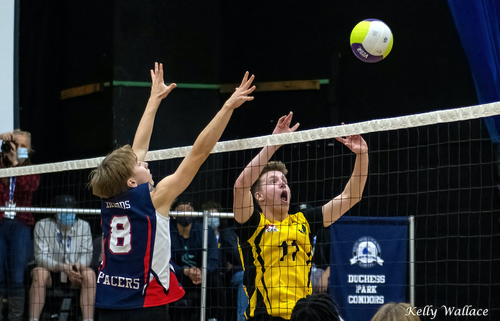 Howard Tsumura tweet media