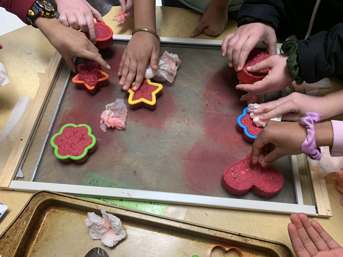 Ms. DiRico tweet media