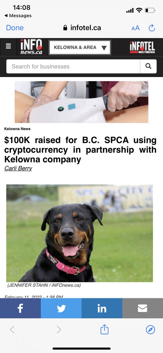 RuffLifeNFT's tweet photo. It’s an amazing feeling knowing that we are getting more eyes on a charity like the @BC_SPCA &amp; that we are actually able to help dogs find their forever 🏡 

We are grateful that news outlets are taking the time to give us the recognition. We look forward to donating more. 🤗 https://t.co/N4PtoJWDJi