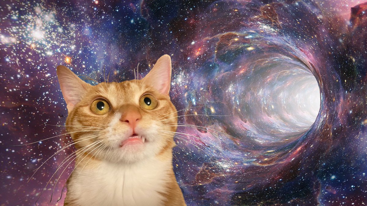 宇宙　ガラスの猫 宇宙 ガラスの猫