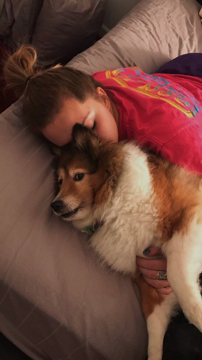 Had to say goodbye to my sweet Lady Bug today. It’s hard to lose your childhood pet that has been in your life ever since you could remember, but comforting to know she is no longer suffering. I love you and I will miss you dearly. Say hi to Daisy sweet girl 💗