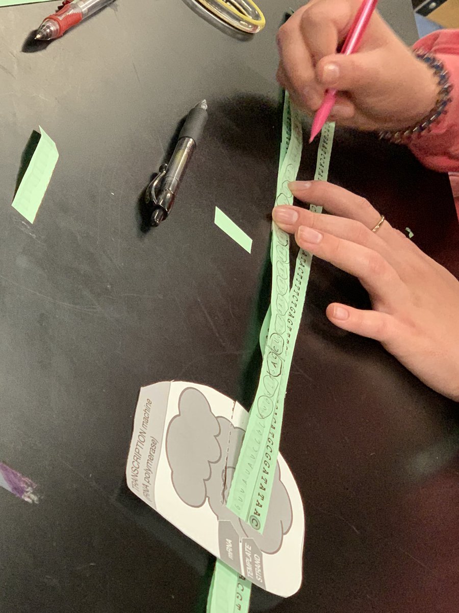 MsGee_28's tweet photo. Modeling Lab: Protein Synthesis - Transcription &amp; Translation. Ss collaborate as they code sequences depicting which protein is made from five (5) DNA Gene samples. #LearningBiologyWithMsGee #BioChronicles @RNECavaliers https://t.co/7E4dDHHFeW