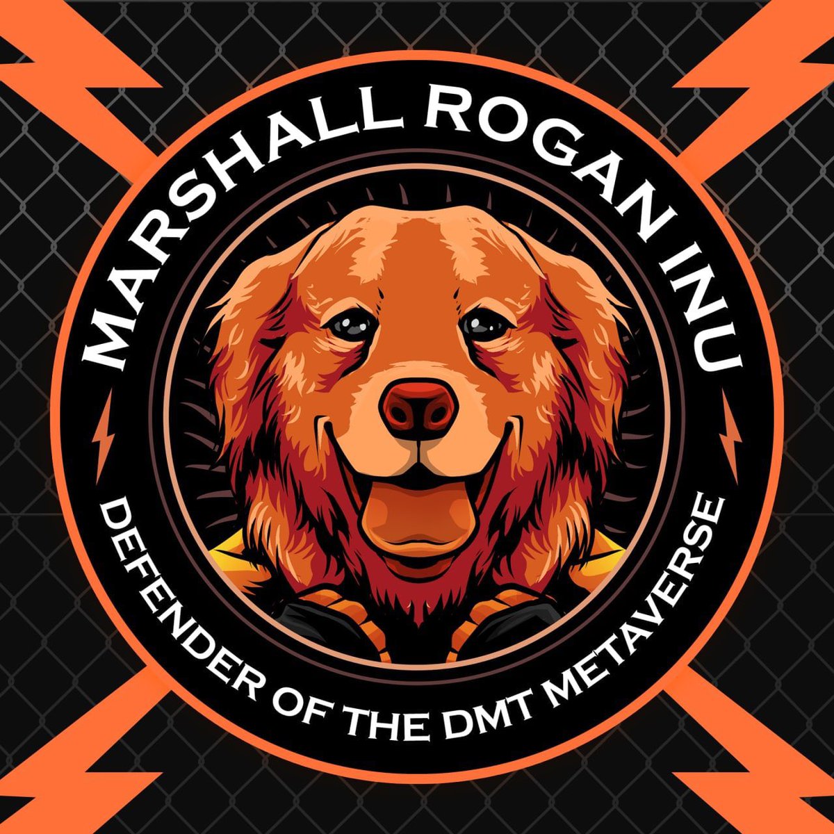 DerekBrunson's tweet photo. Shoutout to Marshall Rogan INU  @RoganInu taking care of fighters . Check them out! https://t.co/4dA0X2daAx