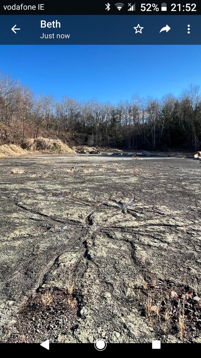 Beth3Wishes's tweet photo. Shadow Forests exhibit opening March 16.Ancient forests, art and science. Podcast with Harvard Museum of Natural History coming soon.Research-Chris Berry, Ph.D. @nb2701_berry Bill Stein, Ph.D., field research @ang_gilmour at @SampleStudios #ancienttrees #devonian #fossilforests https://t.co/ksNOD6JXGv