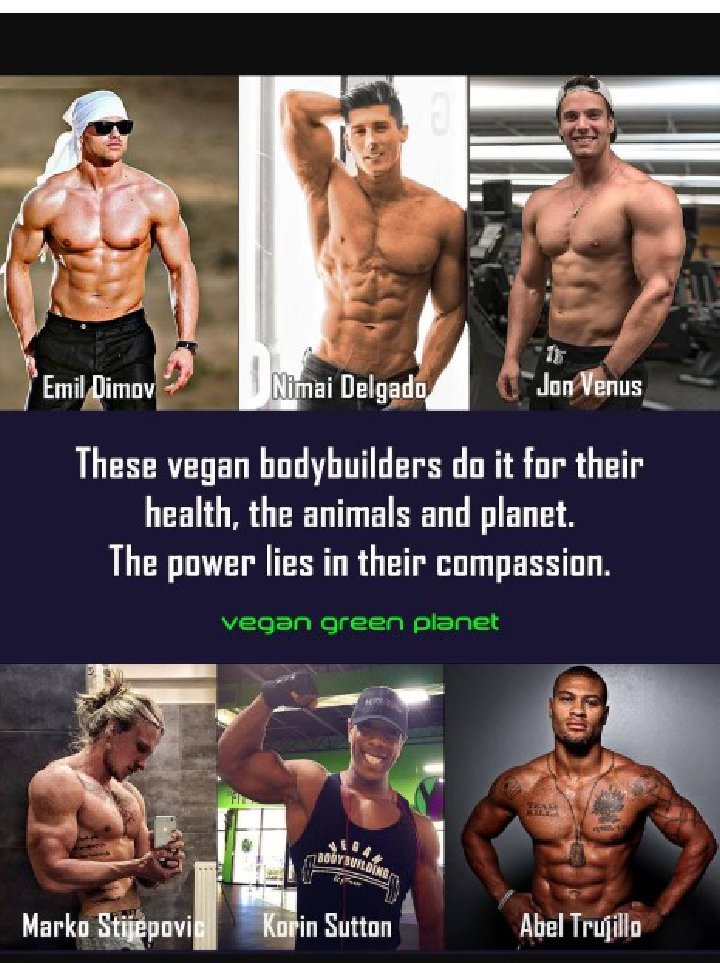 RavenTW's tweet image. Ask them where they get their protein... #breaktheprogramming, #govegan