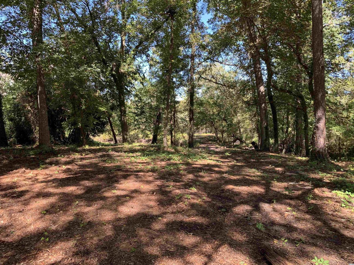 TheTerryTeam's tweet photo. Just Reduced!  $199,000.00, 0BR, 0BA, TBD Spring Lake Dr., Conway, SC 29526, Full Details https://t.co/tGsVyYy2CA https://t.co/OF8ZVx7jVz