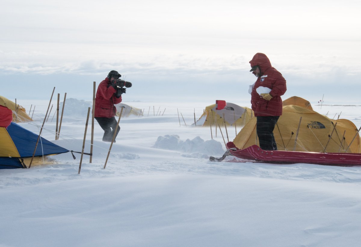 Salsa Antarctica tweet media
