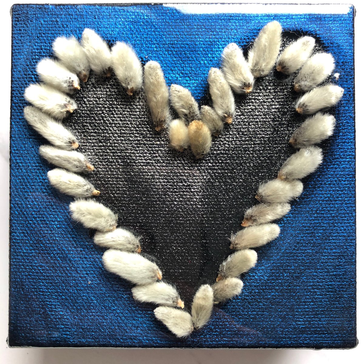 Pussy Willow H’art. Hand picked pussy willows I saved from a willow tree in the spring. This sweet little H’art has no bids yet. Let show it some love. 💙

32auctions.com/WallofHarts2022

#WallofHarts #HartoftheDay #HeartMonth