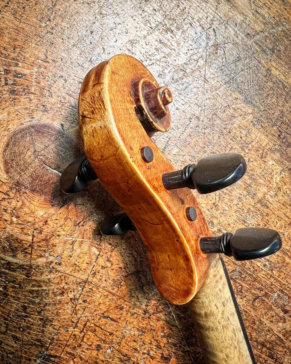 BenningViolins's tweet photo. Those clever Voller brothers. Definitely some very beautiful copy work. This Testore copy is really first rate.
#violin #violinist #Voller #British #England #Testore #forsale
https://t.co/45GcGGDSJN https://t.co/nytOESeAEe
