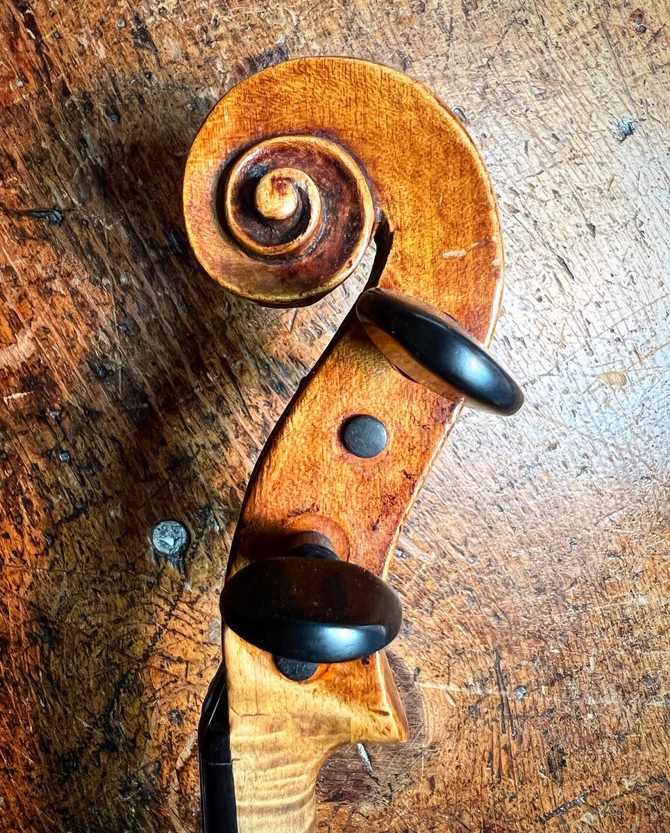 BenningViolins's tweet photo. Those clever Voller brothers. Definitely some very beautiful copy work. This Testore copy is really first rate.
#violin #violinist #Voller #British #England #Testore #forsale
https://t.co/45GcGGDSJN https://t.co/nytOESeAEe