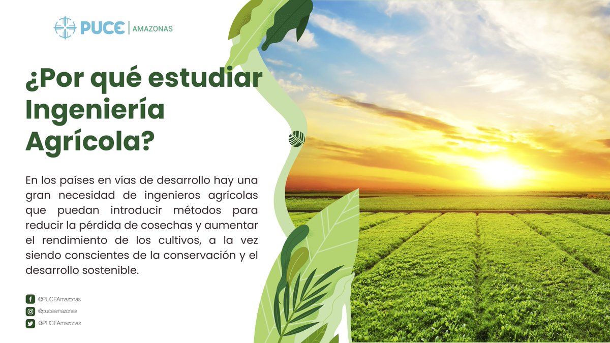 Si aún no te has decidido por una carrera para estudiar, hoy te contamos porqué deberías seguir 𝑰𝒏𝒈𝒆𝒏𝒊𝒆𝒓í𝒂 𝑨𝒈𝒓í𝒄𝒐𝒍𝒂 🌎💧🌳

¡𝗠𝗮𝘁𝗿í𝗰𝘂𝗹𝗮𝘀 𝗮𝗯𝗶𝗲𝗿𝘁𝗮𝘀!

#SomosPuceAmazonas 
#MatrículasPUCE 
#DejaTuHuellaEnLaPUCE