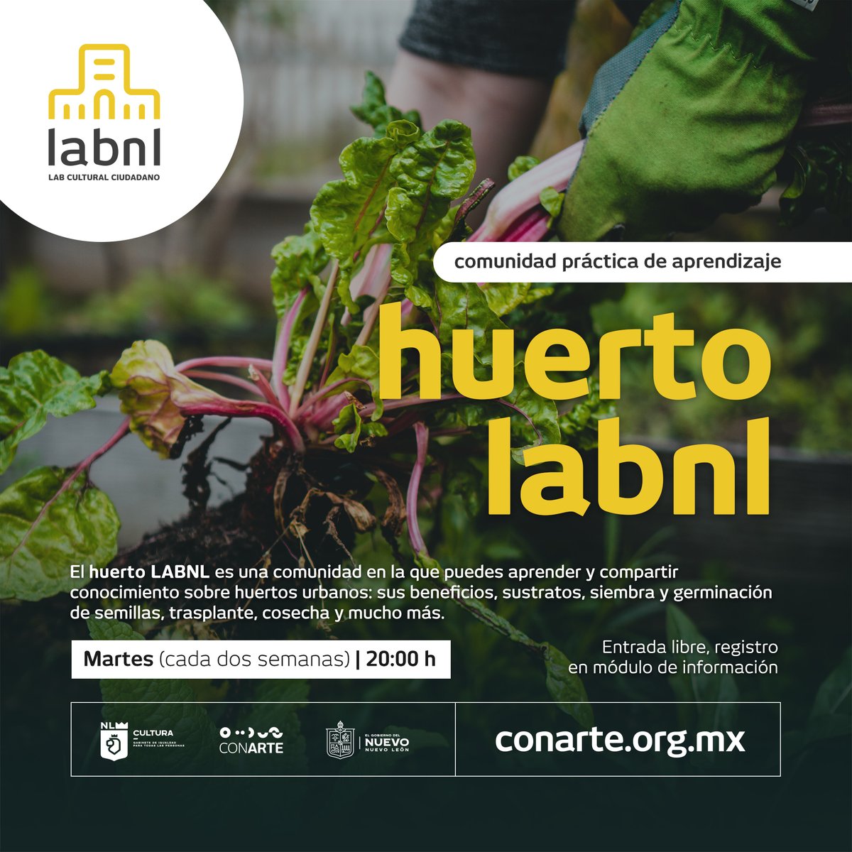 ¿Te gustaría ser parte de un huerto comunitario? 🌿 🌻 🥬 🥕🌶 🌱 👇🏽👇🏽👇🏽