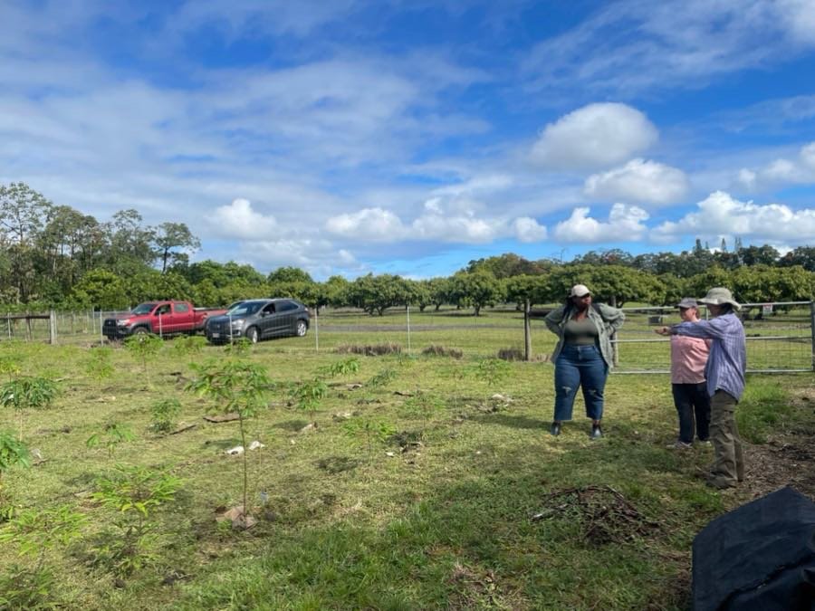 Celebrating international #WomeninScienceDay with other awesome women scientists checking out the lab cassava field site in Hawaii! Many thanks to our UH collaborators for showing us around.