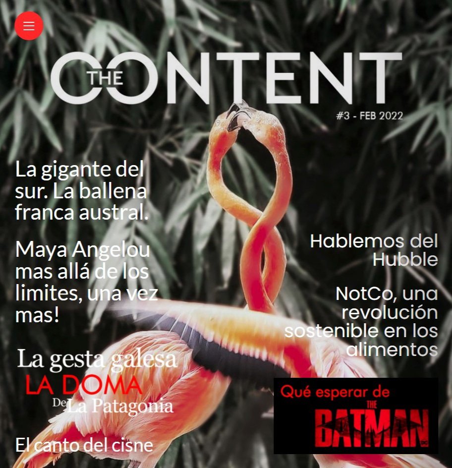 Ya esta en linea nuestra #EdicionFebrero #10Feb 
thecontent.news