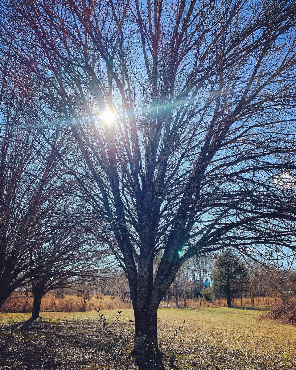 Reflection and perspective