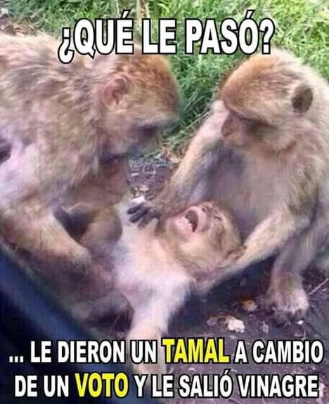 JuanEVillegasA's tweet photo. No venda su voto. Votar a conciencia es un acto democrático que permitirá un presente y futuro mejor para los colombianos y colombianas. @asambleadeant. https://t.co/jcVAzdSHZr