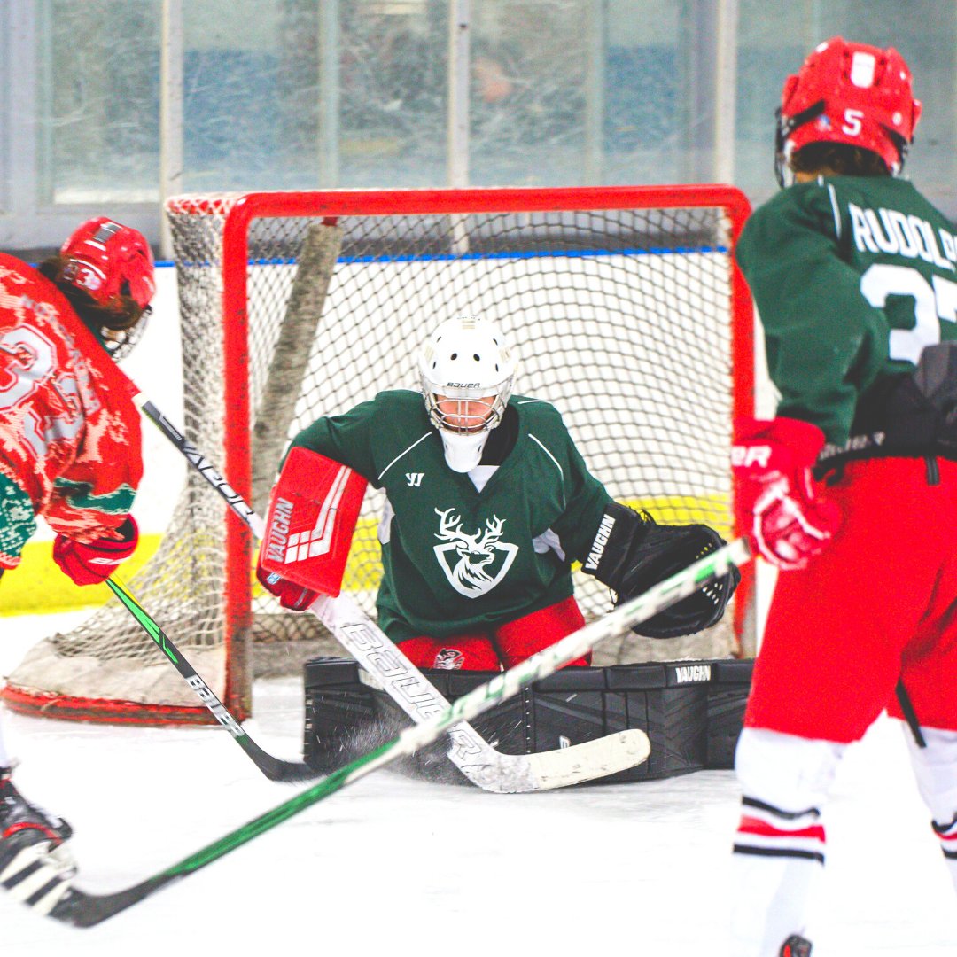 Flashing back to this Holiday 3v3. Good times! 🏒⛸️❤️