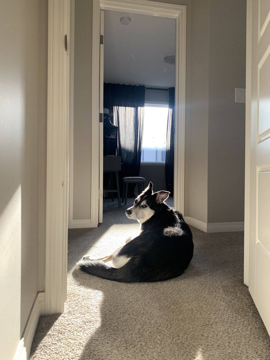 maddycatt's tweet photo. i sent this to everyone i know - shes a model https://t.co/ChzMRJbKnt