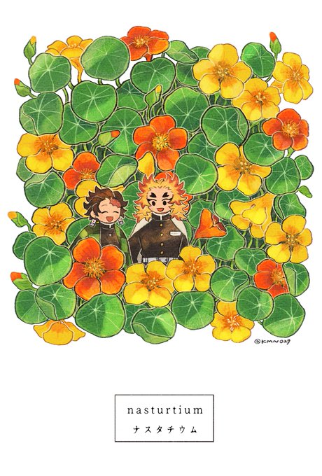 展示イラストでした🌼 