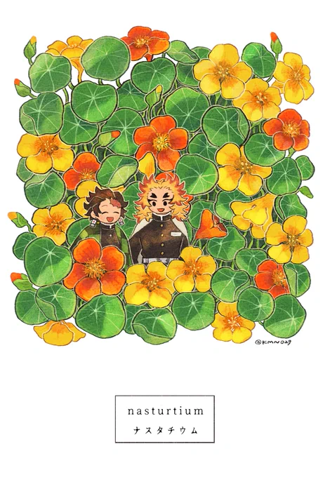 展示イラストでした🌼 
