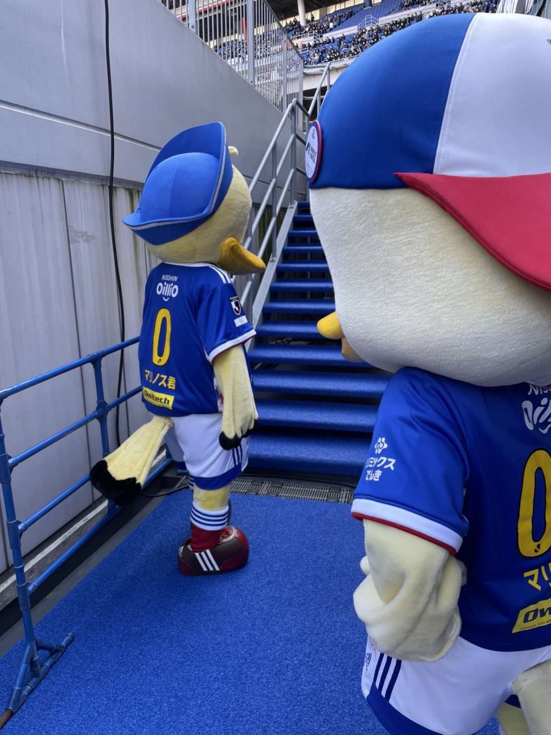 マリノスケ【こうしき】 on Twitter: