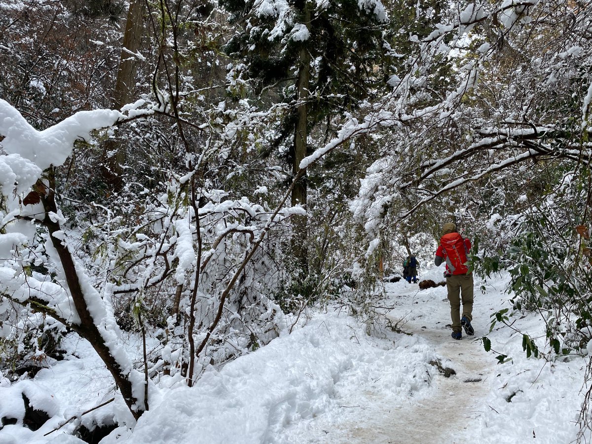 2022.2.12 今日の高尾山 6号路で登ったスタッフから写真を提供してもらいました。 琵琶滝から先は雪も多いようですので、軽アイゼンなどの滑り止めがあると安心ですね。