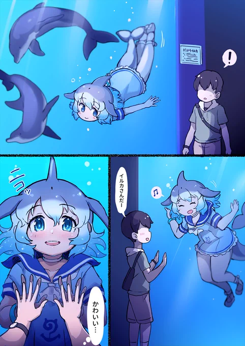 🐬事故 