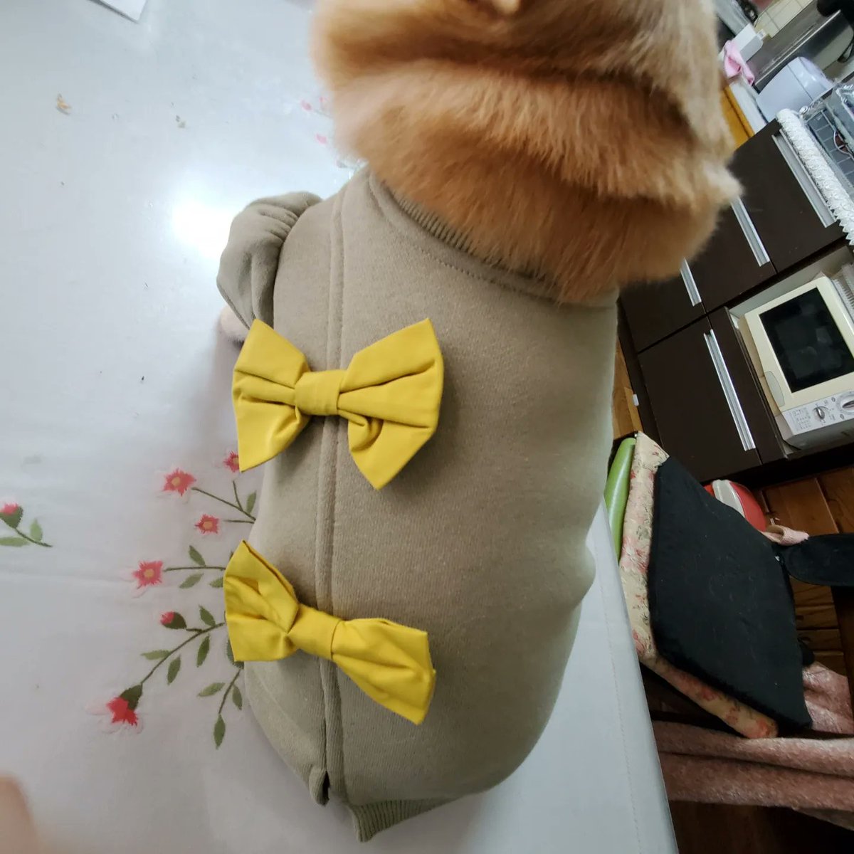 帰りにお洋服を安かった980円安かったので買ったのではなく良いのがないのとサイズがないので、家に帰ってきて思った事チャイナ服⁉️