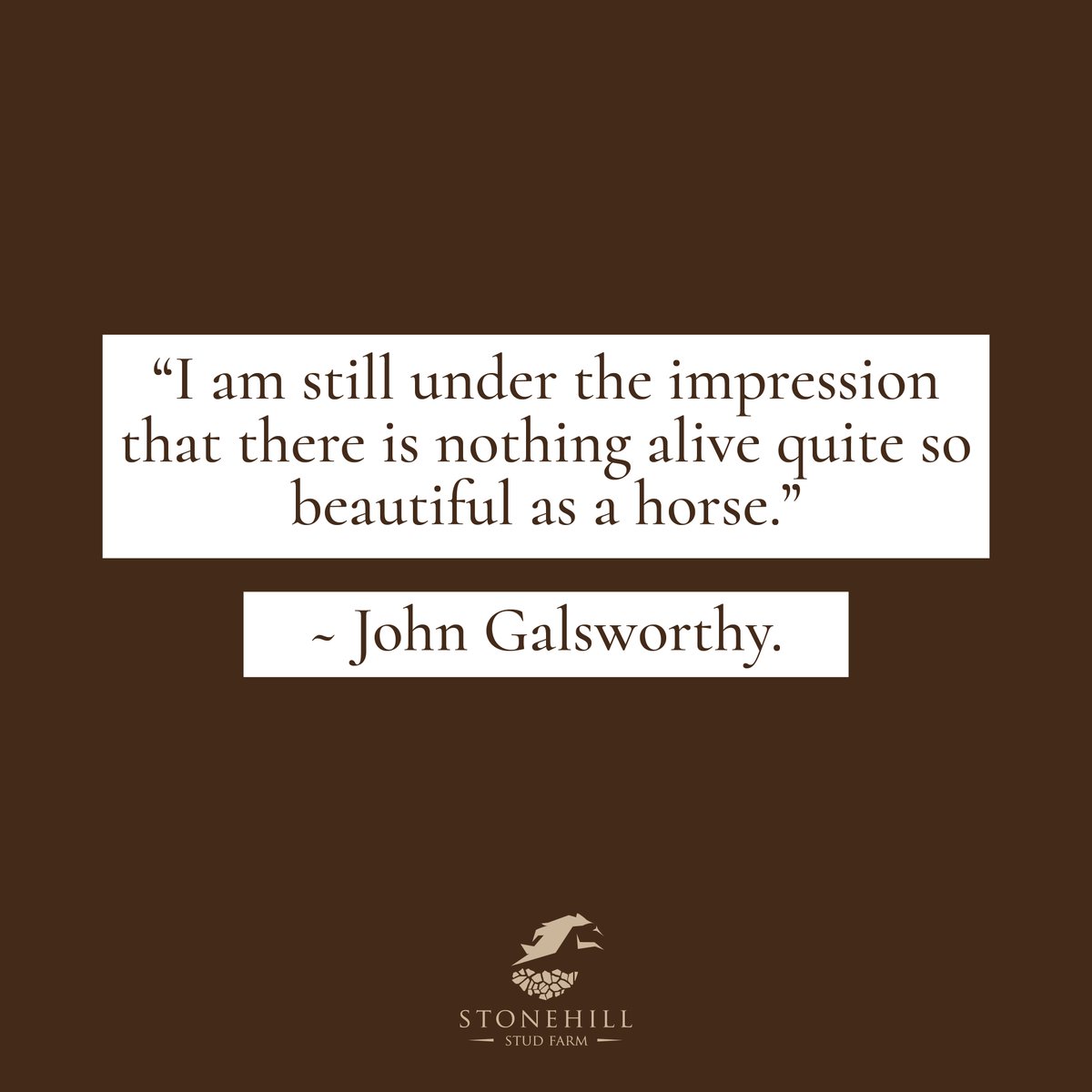 StonehillStud's tweet photo. We agree. 🏇
·
#horses #horsesofinstagram #horsequotes https://t.co/gc4oLIRmPk