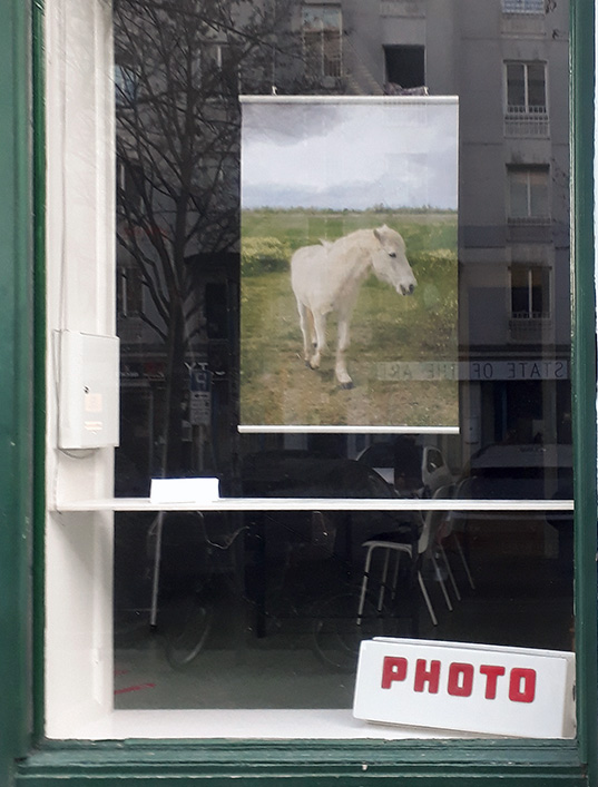 FASB_Berlin's tweet photo. #SchauFensterSchau mit Wolfgang Eschenhorn
.
Auch an diesem Wochenende zeigen wir #Fotografie im #Schaufenster #sfs2022
.
#supportartists #Berlin #exhibition #Ausstellung #photography #SchönebergerNorden #FotoFenster #artinberlin #photoinberlin #photo #PhotographyIsArt https://t.co/VTc0DD8Z24