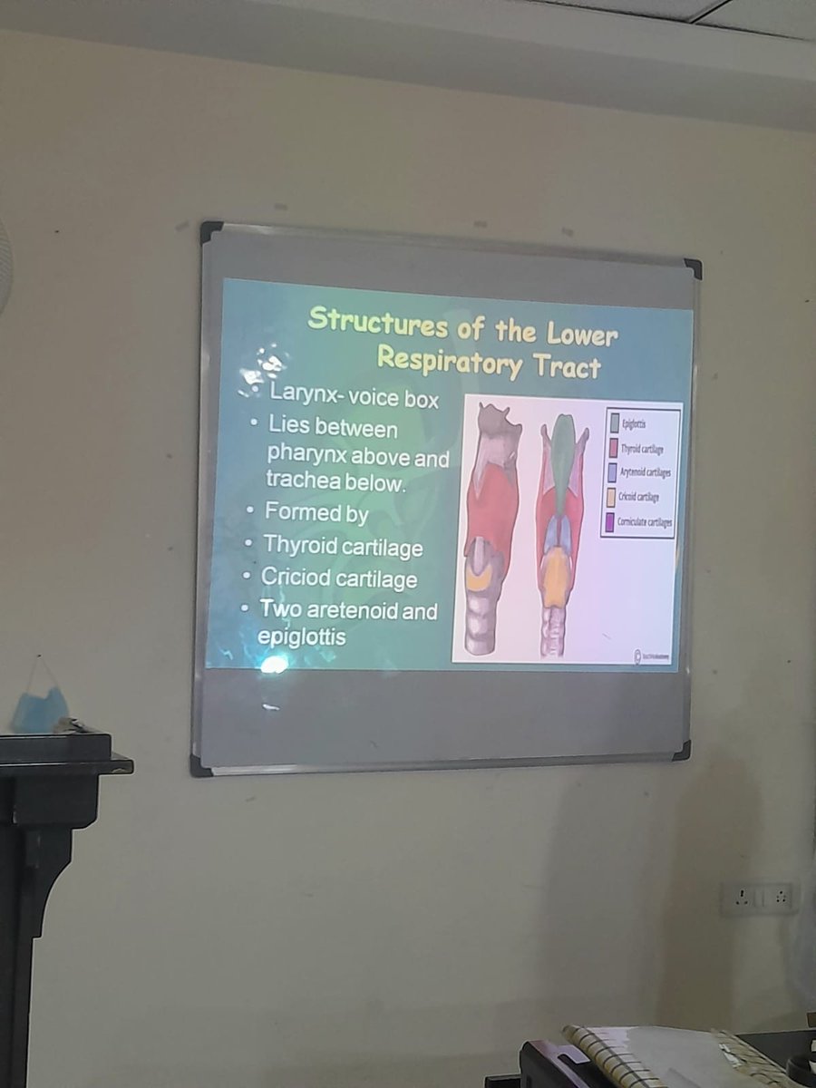 StarEduOfficial's tweet photo. Here our Radiology student, Priyanka explaining her power point presentation to the class which she has made on 'Respiratory System'.
She defined it through diagrams. Well explained Priyanka!๐
#PresentationClass #RespiratorySystem #StarEduStudent #StarEduEducation #StarEdu https://t.co/xi3N6feW6l