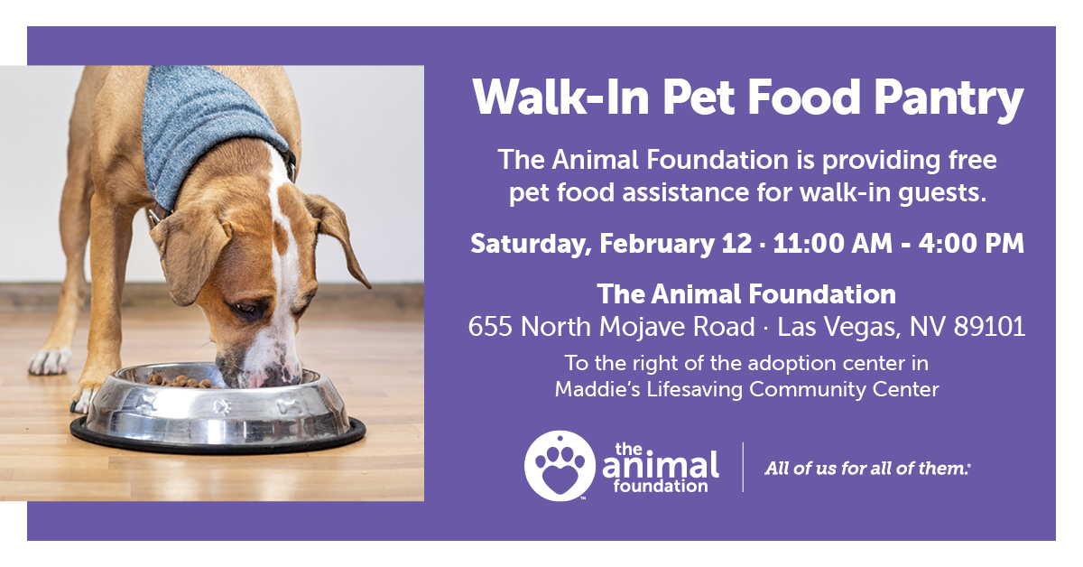 Animal Foundation on Twitter: Animal Foundation on Twitter: