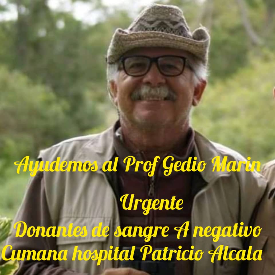 sketa0's tweet photo. El colega Gedio Marin sufrió un ACV leve esta madrugada. Está en el hospital y requiere sangre urgente. Información por 0424-8832802 https://t.co/5ykUS3HDuP