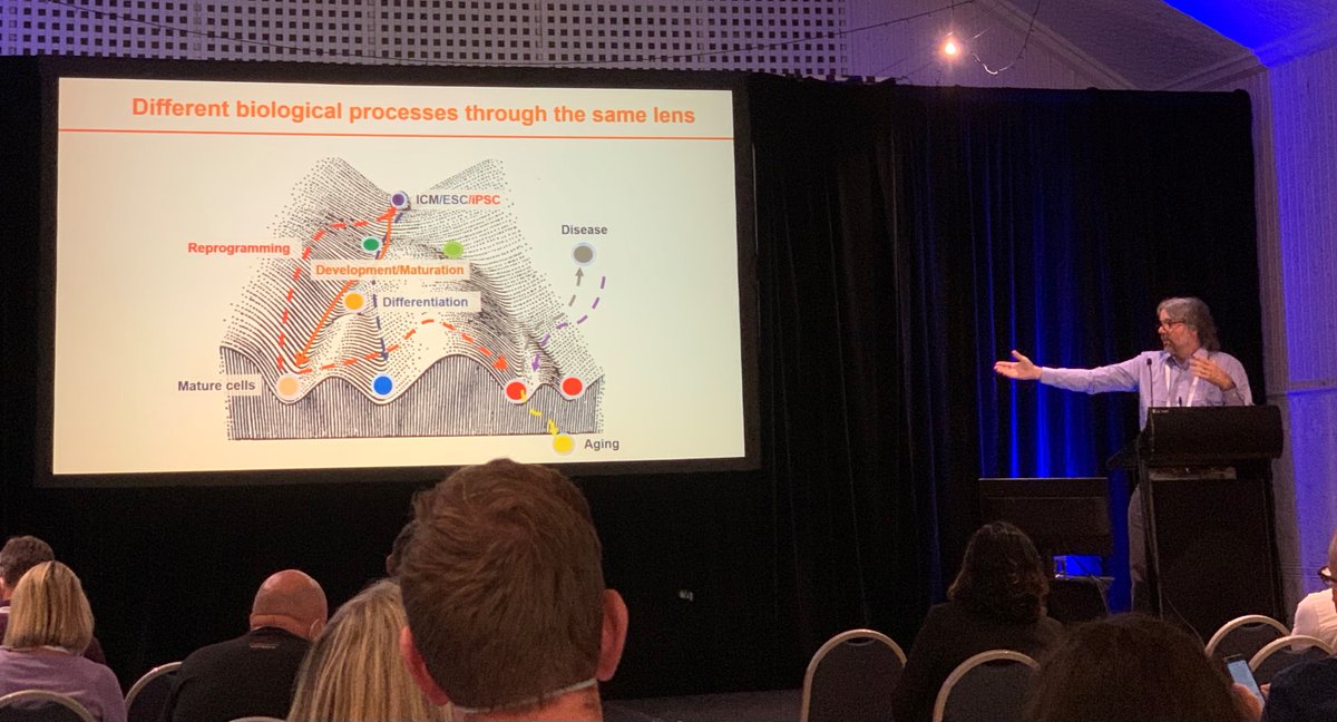 Show us the way Jose!  What I love about your talks is that they don’t just inform, they  inspire. @lornecancer, #lornecancer @mscienceaustnz @10xgenomics @uniofadelaide