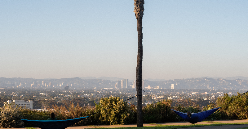 lmusummerlions's tweet photo. The future looks bright 😎 for the 2022 pre-college cohort preparing to join us on the Bluff this summer!

#Summer2022 #LMUSummerPrograms #ILoveLMU #SummerLions https://t.co/5VQ3HYQr5A
