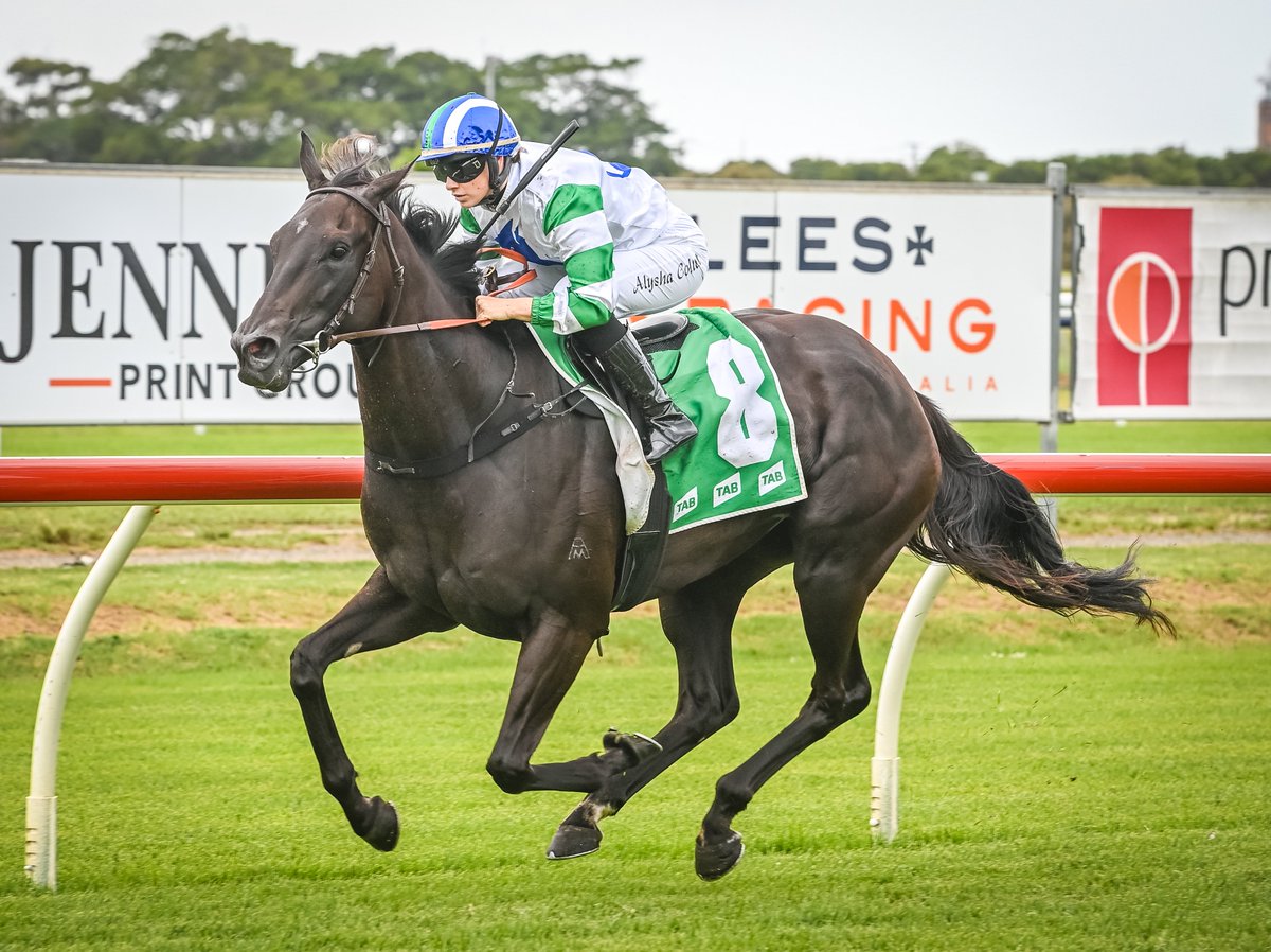 newcastleraces_'s tweet photo. CROSS THE RUBICON (@AlyshaCollett for @BWiddupRacing) wins R1 Engagevr Mdn Handicap (1200m) and going on to win comfortably. 2nd Annulus (B Spriggs), 3rd Beholder (M Bell), 4th Amathuba (G Buckley). RT 1:11.84 (last 600m in 34.42). Official margins were 1.5 L x a head. #engagevr https://t.co/ga439kR3GH