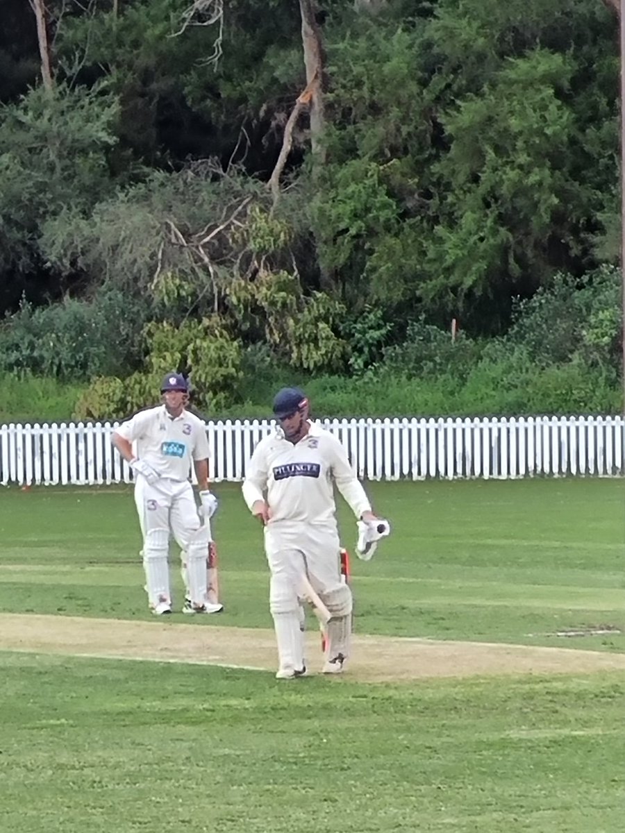 Batting master class at Trumper <a href="/Easts_Dolphins/">Easts Dolphins</a> <a href="/shorty_scorer/">Adrian T</a> . Mark Morley 154n.o as rain interrupts.