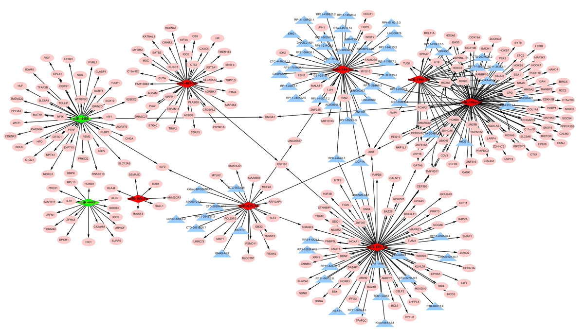 SzeAmber's tweet photo. Bioinformatic analysis of a microRNA regulatory network in Huntington’s disease
https://t.co/8aTP20570P
#microRNA #huntingtonsdisease #Bioinformation #neuroscience https://t.co/gEX9TKm7hS