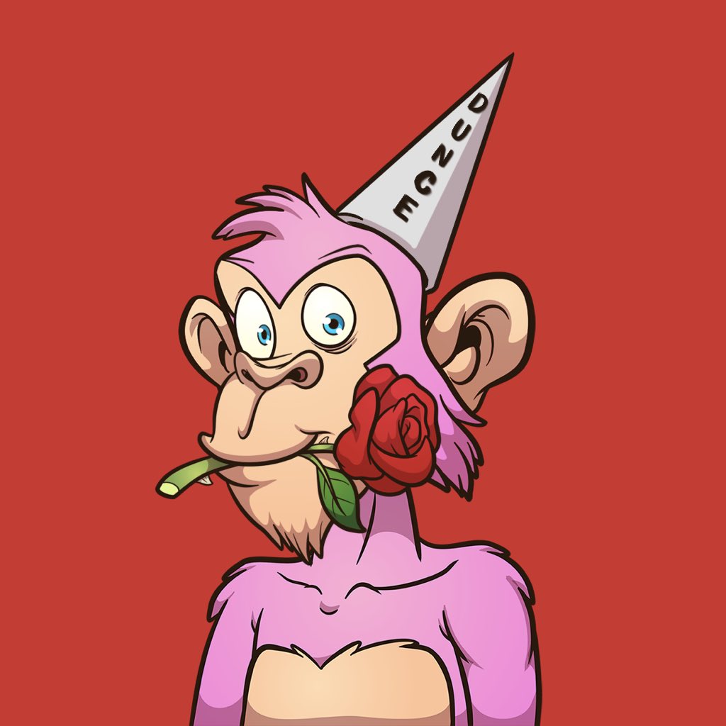 DonnyNFT 💫 tweet media