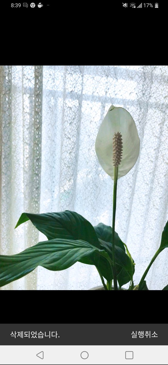 iha42226886's tweet image. 