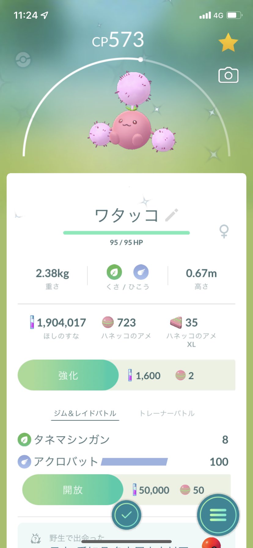 メジロコメダン ポケモンgo ハネッコ ポポッコ ワタッコの色違いです ワタッコが春を感じる色になりましたね T Co 9zace6uknc Twitter