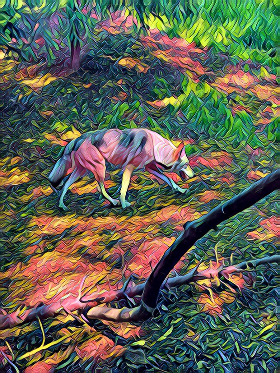 Newest NFT minted within the last 15 minutes. #opensea #NFT #NFTCommunity #NFTCollection #NFTshill #NFTartwork #NFTpromotion #NFTshills #NFTCollection