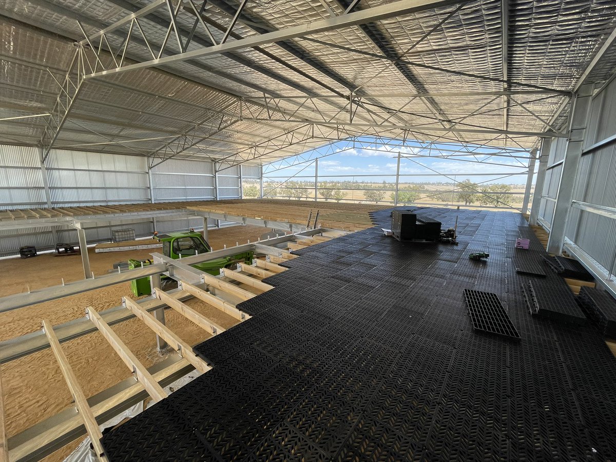 CoChippy's tweet photo. Been very busy with the second Awi shed, changed sub floor design to only eight posts supports possibly first shearing shed in the world with only eight posts supporting sub frame that can hold 900plus head!! Stay tuned for progress shots https://t.co/Yt4CMvDp0g