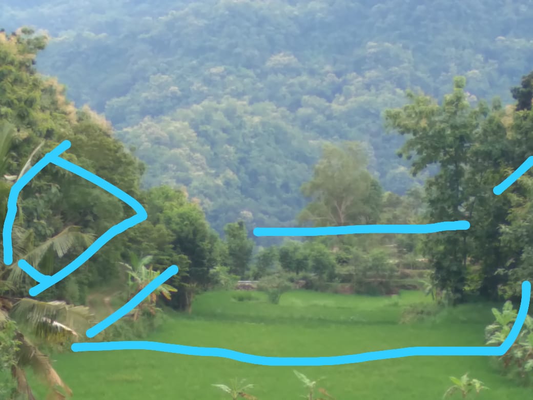 PinetJ's tweet image. Di jual tanah , Shm tegalan.
LUAS 2 HEKTAR.
HARGA 500 rb/m NEGO.
Akses truk masuk. 
No minus , dekat fasum.
Lok, Jolo, srimulyo, piyungan,
Bantul, Yogyakarta.

WA 081227601799