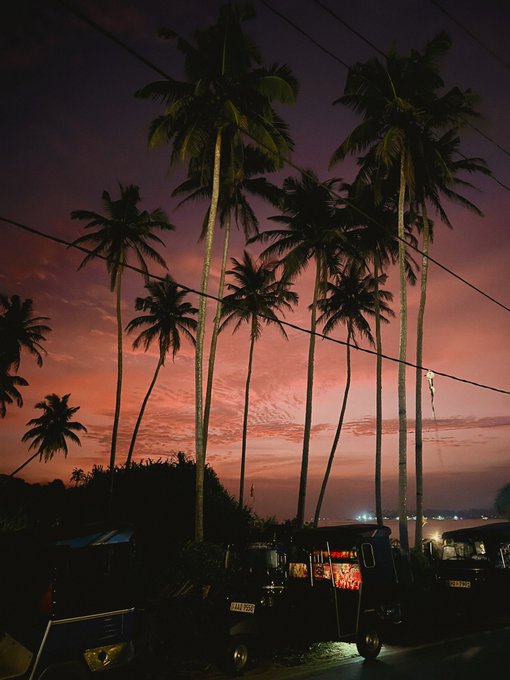 Tropical humid heat clinging to your skin, sunset dip in a small cove surrounded by palm trees, ocean